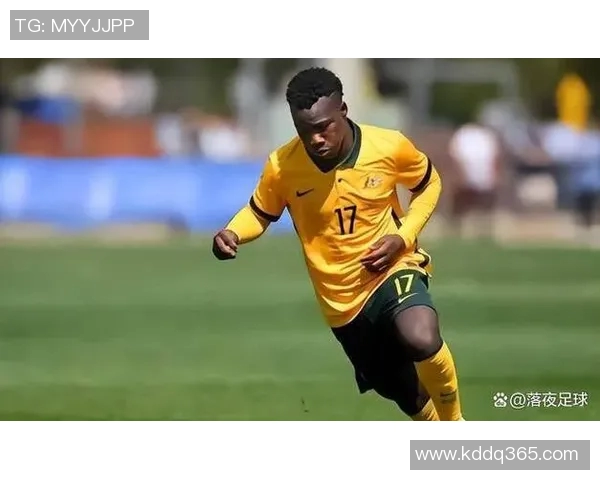 沈阳足球明星卡点：聚焦本土球员成长与城市足球文化的交融与发展