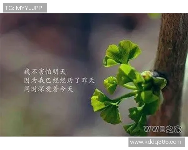 女篮球明星的个性网名推荐与创意分享,展现她们的风采与魅力